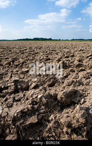 Champ labouré, sud-Touraine, France. Banque D'Images