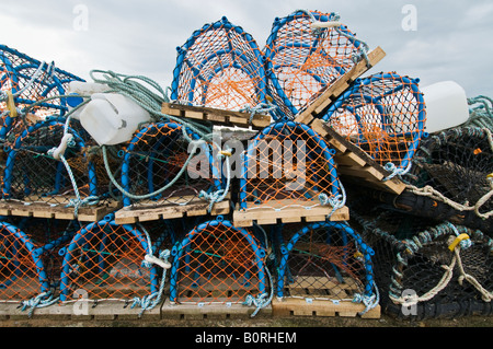 Des casiers à homard empilés sur le quai du vieux port dans la région de North Berwick, Ecosse Banque D'Images