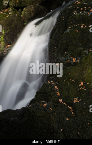 Rapids, Aira Force, Lake District, Cumbria, England, UK Banque D'Images