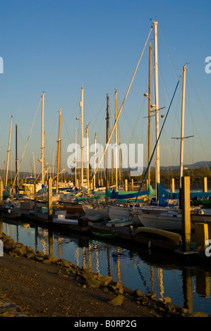 Bateaux à quai dans le port de plaisance de Morro Bay State Park Morro Bay, Californie Banque D'Images