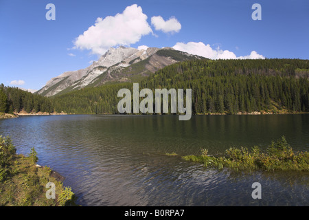 Le nord du lac de montagne entouré de forêts denses Banque D'Images