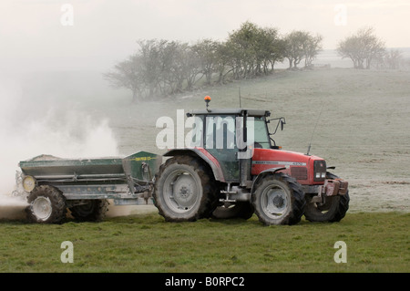 Tracteur Massey Ferguson de la traction d'une épandeuse de chaux qui s'étend à la pierre à chaux broyée pour aider à améliorer la fertilité des sols Banque D'Images