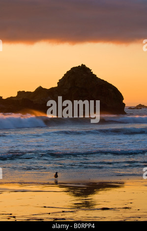 Les roches du littoral et des vagues se brisant au coucher du soleil Plage Pfeiffer Big Sur Californie Banque D'Images