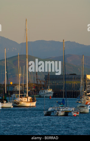 Bateaux au mouillage à Morro Bay en Californie Banque D'Images