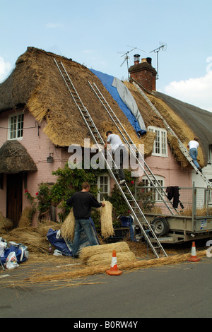 Travail Thatchers sur le toit d'un chalet dans le sud de l'Angleterre Royaume-uni Hampshire Micheldever Banque D'Images