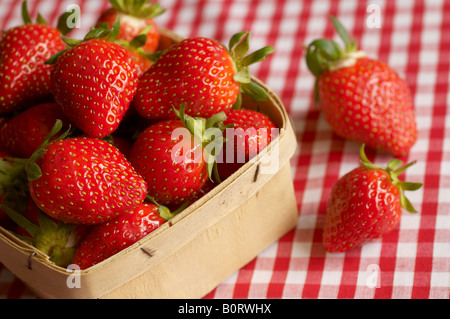 Barquettes de fraises fraîches sur nappe Vichy Banque D'Images