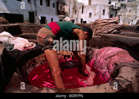 Maroc, Fès, tannerie Chouara, homme au travail Banque D'Images