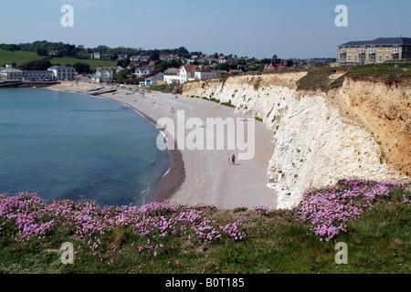 Situé sur la baie d'eau douce le sud de l'île Ile de Wight Angleterre UK Banque D'Images