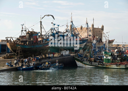 15 08 08 Essaouira Maroc bateaux de pêche dans le port Photo Simon Grosset Banque D'Images