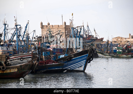 15 08 08 Essaouira Maroc bateaux de pêche dans le port Photo Simon Grosset Banque D'Images