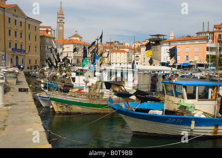 Bateaux de pêche au port de plaisance dans la région de Piran Slovénie Europe Banque D'Images