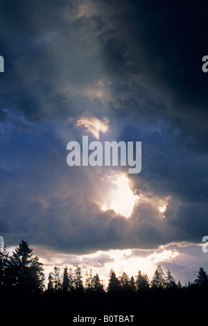 Au lever du soleil à travers le trou dans les nuages sombres au-dessus des arbres du Parc National de Grand Teton WYOMING Banque D'Images