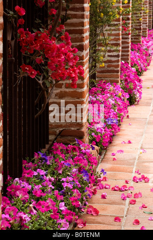 Une clôture de fer et de brique couverte de bouganvilla au motif de la Mission San Juan Capistrano. Banque D'Images