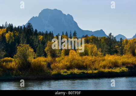 Les couleurs de l'Automne doré sur les arbres le long de la rivière Snake ci-dessous Mont Moran mountain Grand Teton National Park Wyoming Banque D'Images