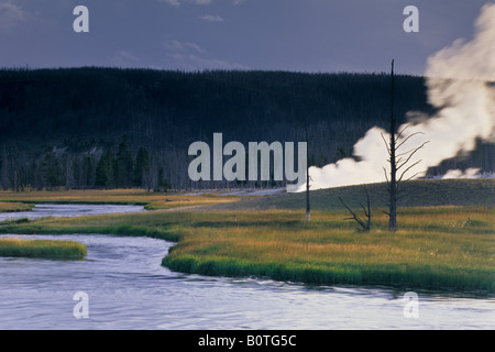 La vapeur de hot spring au bord de la rivière Firehole Bassin Biscuit au coucher du soleil, le Parc National de Yellowstone au Wyoming Banque D'Images