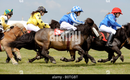 Heathfield & District Agricultural Show. Les foules affluent pour le comté, qui ont eu lieu en mai. Le poney Shetland Grand National. Banque D'Images