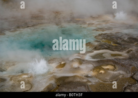 Caractéristiques de l'énergie géothermique à l'Upper Geyser Basin Le Parc National de Yellowstone au Wyoming Banque D'Images