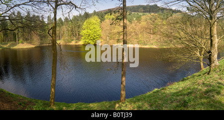 Ladyblower dans le réservoir Derwent Valley Parc national de Peak District Midlands England uk Banque D'Images