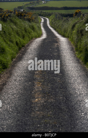 Voie unique étroite petite route menant au loin dans la campagne du comté de Sligo en république d'Irlande Banque D'Images