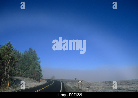 En route dans le brouillard lumineux Hayden Valley par un froid matin d'automne le Parc National de Yellowstone au Wyoming Banque D'Images