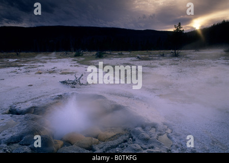 Au coucher du soleil de printemps moutarde Biscuit Basin Park WYOMING Yellowstone l Nat Banque D'Images