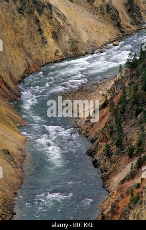 Yellowstone Falls inférieur Grand Canyon de la rivière Yellowstone Parc National de Yellowstone au Wyoming Banque D'Images
