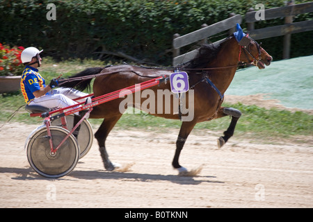 Hippodrome de Malte Malte Valletta Marsa Banque D'Images