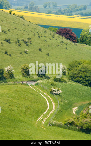 La campagne près de East Meon Hampshire UK Banque D'Images