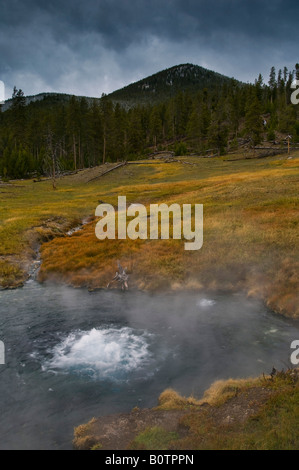 Source d'eau chaude géothermique près de Madison le Parc National de Yellowstone au Wyoming Banque D'Images