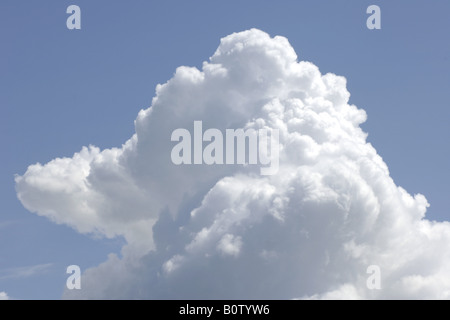 D'imposants Cumulus blanc contre un ciel bleu Banque D'Images