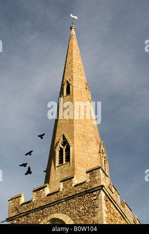 Pandionia St et St Thomas Église Paroissiale Eltisley Cambridgeshire Angleterre Banque D'Images