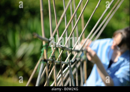 Cadre pour les haricots d'Espagne de plus en plus d'être érigé dans un jardin. Photo par Jim Holden. Banque D'Images