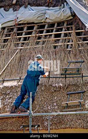 Toit de roseau thatcher Pays-Bas Hollande du Nord polder néerlandais Anna Paulowna farm house Banque D'Images