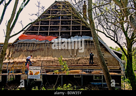 Toit de roseau thatcher Pays-Bas Hollande du Nord polder néerlandais Anna Paulowna farm house Banque D'Images