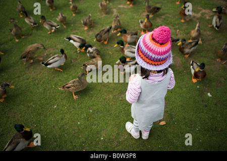 Fille parmi les canards avec woollen bobble hat Banque D'Images