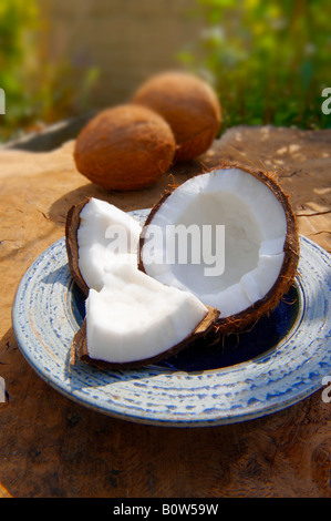 Noix de coco fraîche, toute entière et ouverte sur une table dans un cadre de jardin Banque D'Images