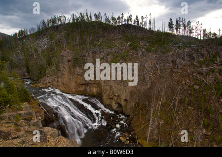 Gibbon Falls près de Madison le Parc National de Yellowstone au Wyoming Banque D'Images