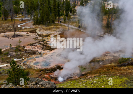 L'augmentation de vapeur à partir de cheminées géothermiques et les sources chaudes aux artistes Paintpots près de Norris le Parc National de Yellowstone au Wyoming Banque D'Images