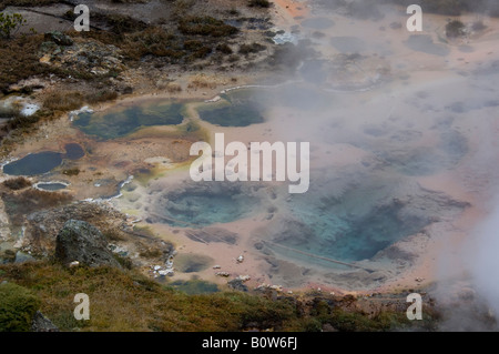 L'augmentation de vapeur à partir de cheminées géothermiques et les sources chaudes aux artistes Paintpots près de Norris le Parc National de Yellowstone au Wyoming Banque D'Images