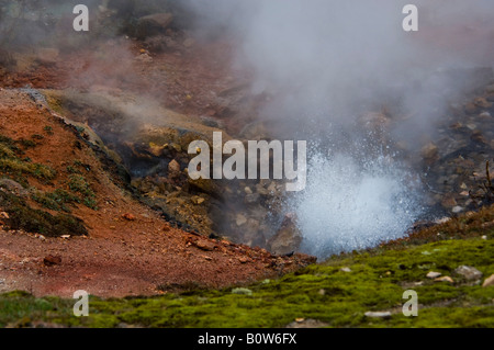 L'augmentation de vapeur à partir de cheminées géothermiques et les sources chaudes aux artistes Paintpots près de Norris le Parc National de Yellowstone au Wyoming Banque D'Images