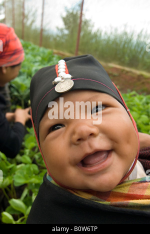 A smiling baby Akha rides sa mère est de retour alors qu'elle plante au Highland Agricultural Project Chiang Mai Thaïlande Banque D'Images