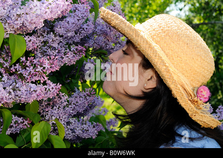 Woman Smelling le parfum d'un arbre Lilas Banque D'Images