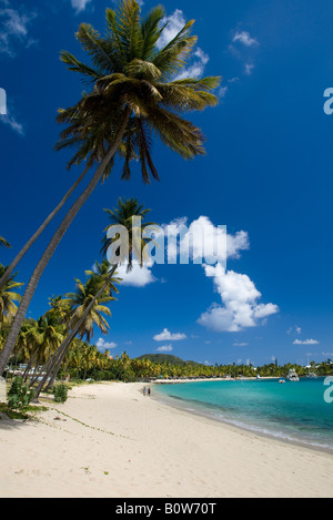 Morris Bay, Antigua, Antilles Banque D'Images