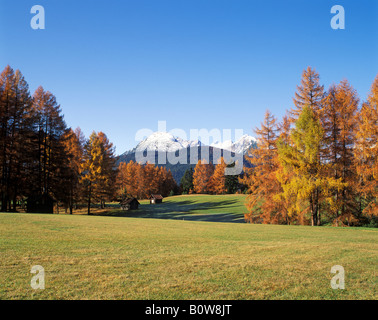 Plateau de Mieming, Tyrol, Autriche, Europe Banque D'Images