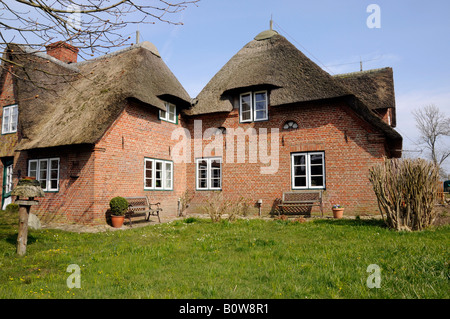 Chambre Keitum, Sylt, au nord de l'île frisonne, Schleswig-Holstein, Allemagne, Europe Banque D'Images