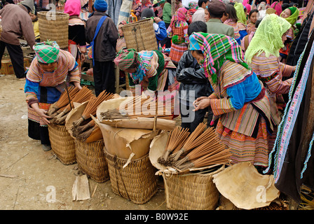 Les femmes Hmong fleurs, marché de Bac Ha, Ha Giang Province, Vietnam du Nord, en Asie du sud-est Banque D'Images