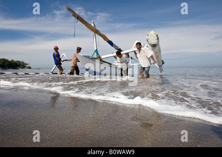 Les pêcheurs retour tirant outrigger bateau de pêche sur la plage de Senggigi, île de Lombok, Indonésie, Îles de la sonde Lesser Banque D'Images