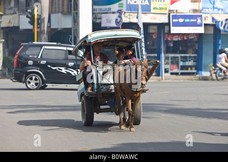 Cheval tirant une charrette à travers les rues de la capitale, Mataram, Lombok, Indonésie, Îles de la sonde Lesser Banque D'Images