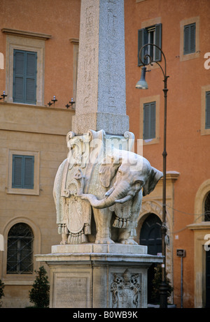 L'éléphant du Bernin, Piazza della Minerva, Rome, Latium, Italie Banque D'Images