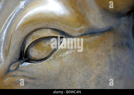 Détail de charge, Bull sculpture, New York Stock Exchange, NYSE, Bowling Green, Wall Street, Manhattan, New York City, USA Banque D'Images